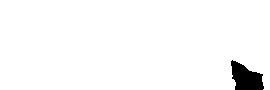 fishjump